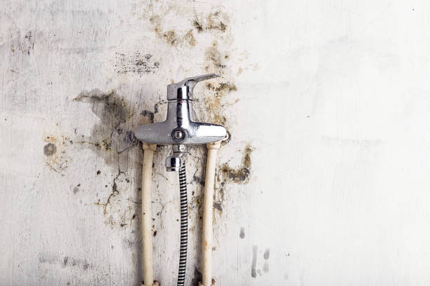 Water Damage Restoration in Jackson, OH