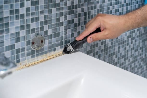 Best Residential Mold Removal  in Jackson, OH