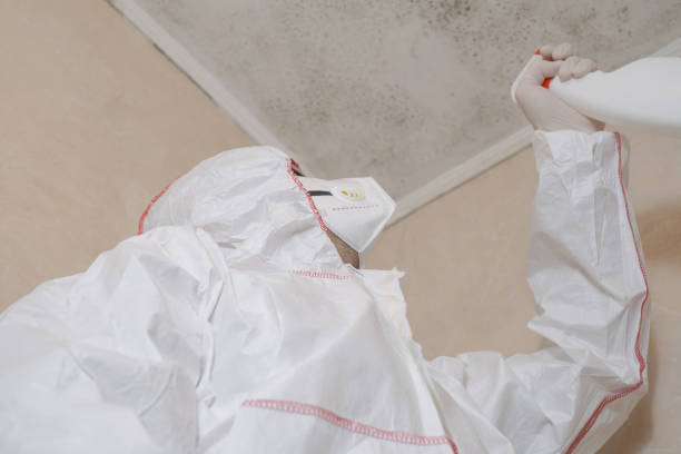 Best Mold Removal Specialists  in Jackson, OH